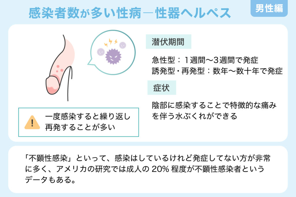 感染者数が多い性病　性器ヘルペス